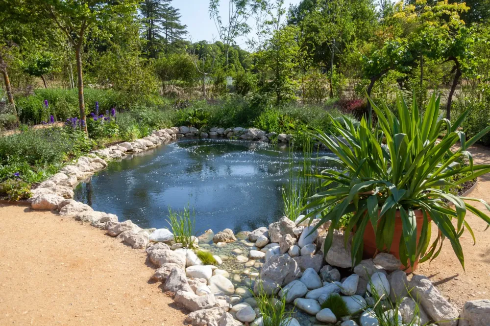 Bassin jardin