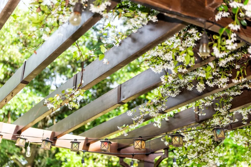 Pergola bois
