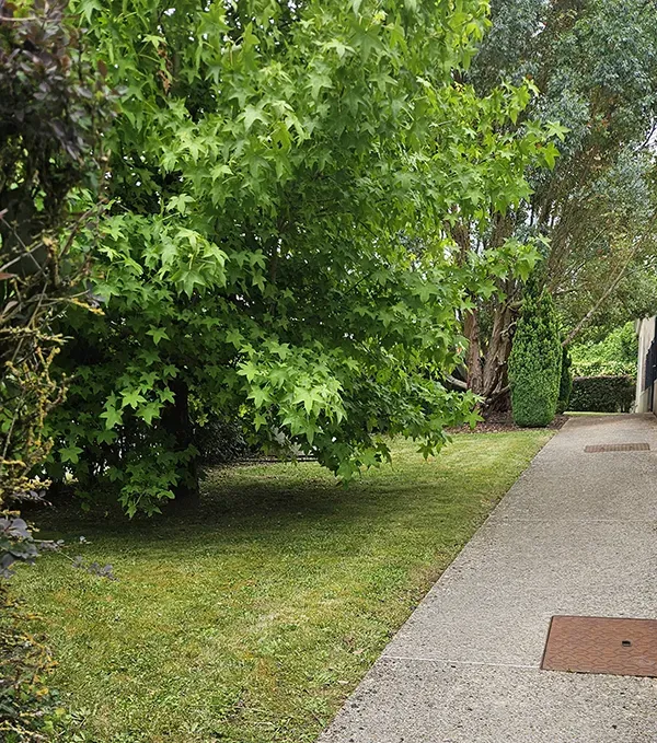 Allée et jardin entretenu