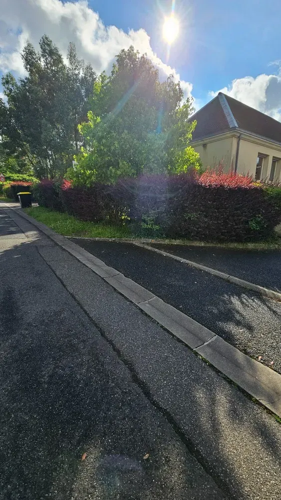 Espaces verts environnements - Aménagements et entretiens (32)