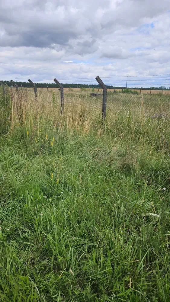 Espaces verts environnements - Aménagements et entretiens (49)