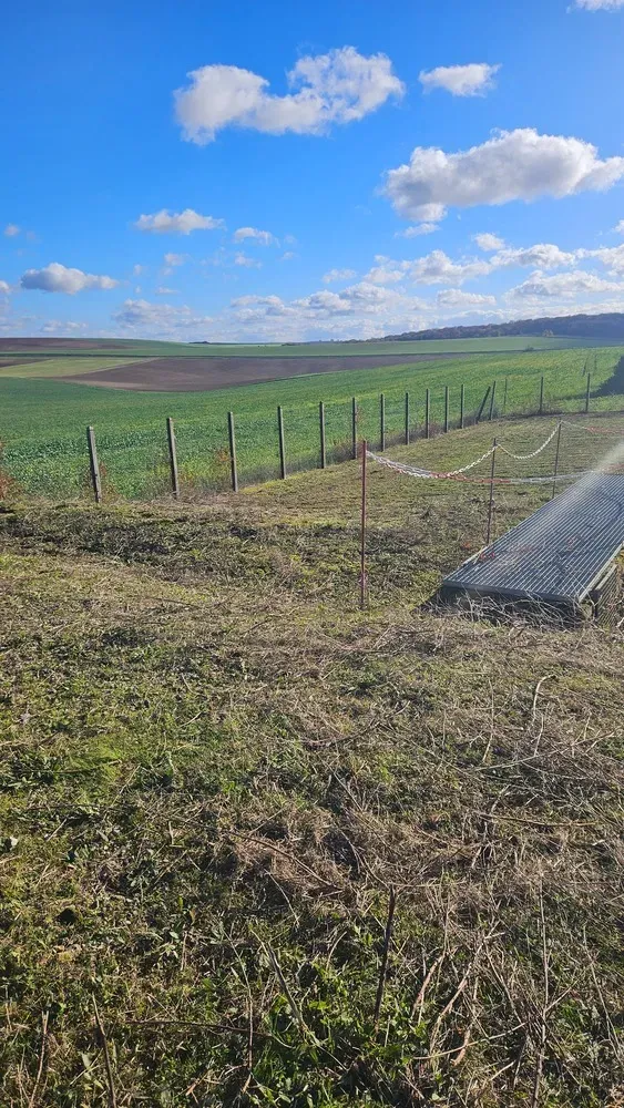 Espaces verts environnements - Aménagements et entretiens (69)