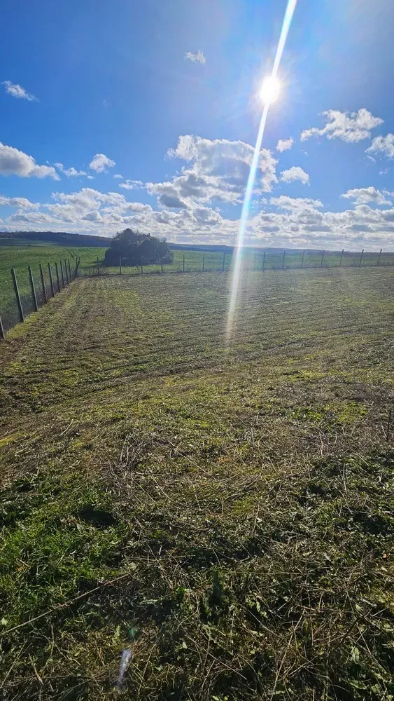 Espaces verts environnements - Aménagements et entretiens (70)