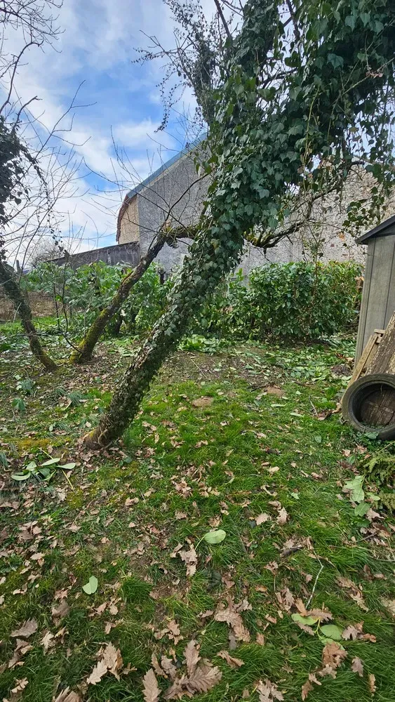 Espaces verts environnements - Aménagements et entretiens (74)