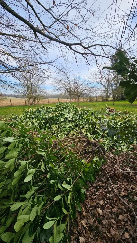 Espaces verts environnements - Aménagements et entretiens (77)