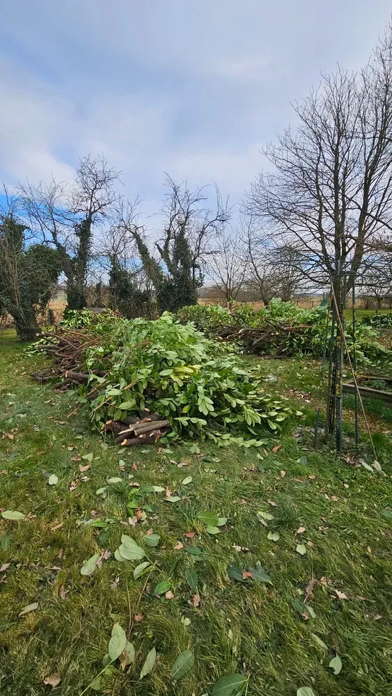 Espaces verts environnements - Aménagements et entretiens (78)