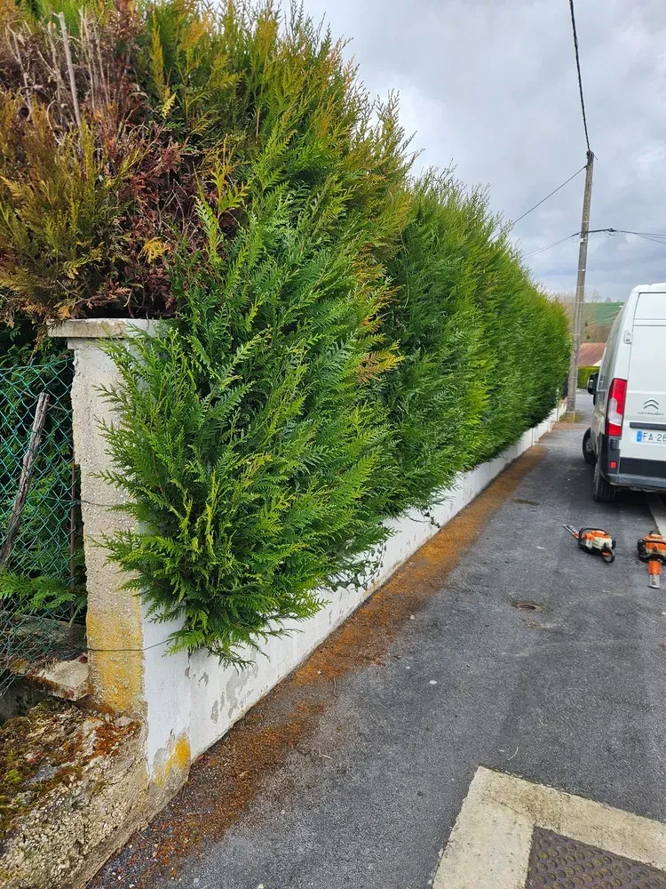 Espaces verts environnements - Aménagements et entretiens (16)